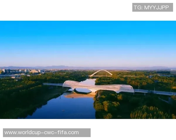 深入解析香港足球现状与未来发展趋势的多维视角